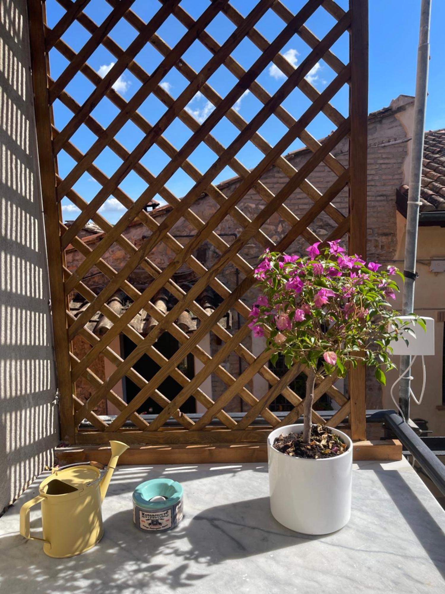 Ferienwohnung Il Borghetto Mentana Exterior foto